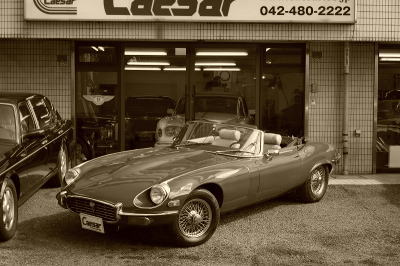 74 jaguar-e-type savure-f1.jpg